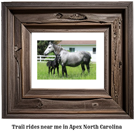 trail rides near me in Apex, North Carolina